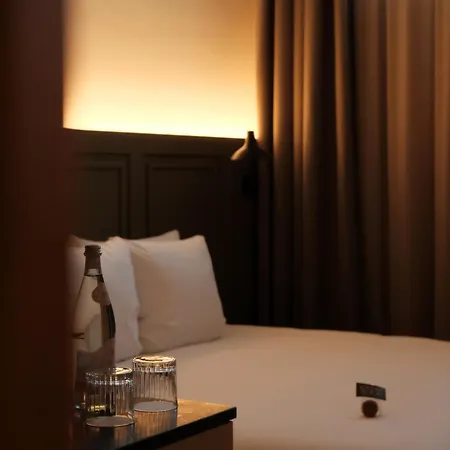 Hotel Metzlr House 4*