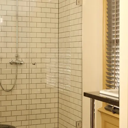 Hotel Metzlr House 4*